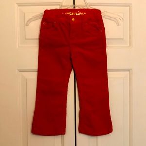 Red Velvet Levi Bootcut Pants